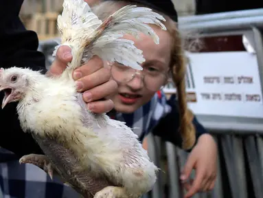 Seorang pria Yahudi ultra-Ortodoks memegang ayam untuk diayunkan di atas kepala keluarganya sebagai bagian dari ritual Kaparot di Yerusalem, Rabu (23/9/2020). Ayam ini kemudian akan disembelih menjadi pengganti seseorang tersebut sebagai penebusan untuk dosa-dosanya.  (AP Photo/Maya Alleruzzo)