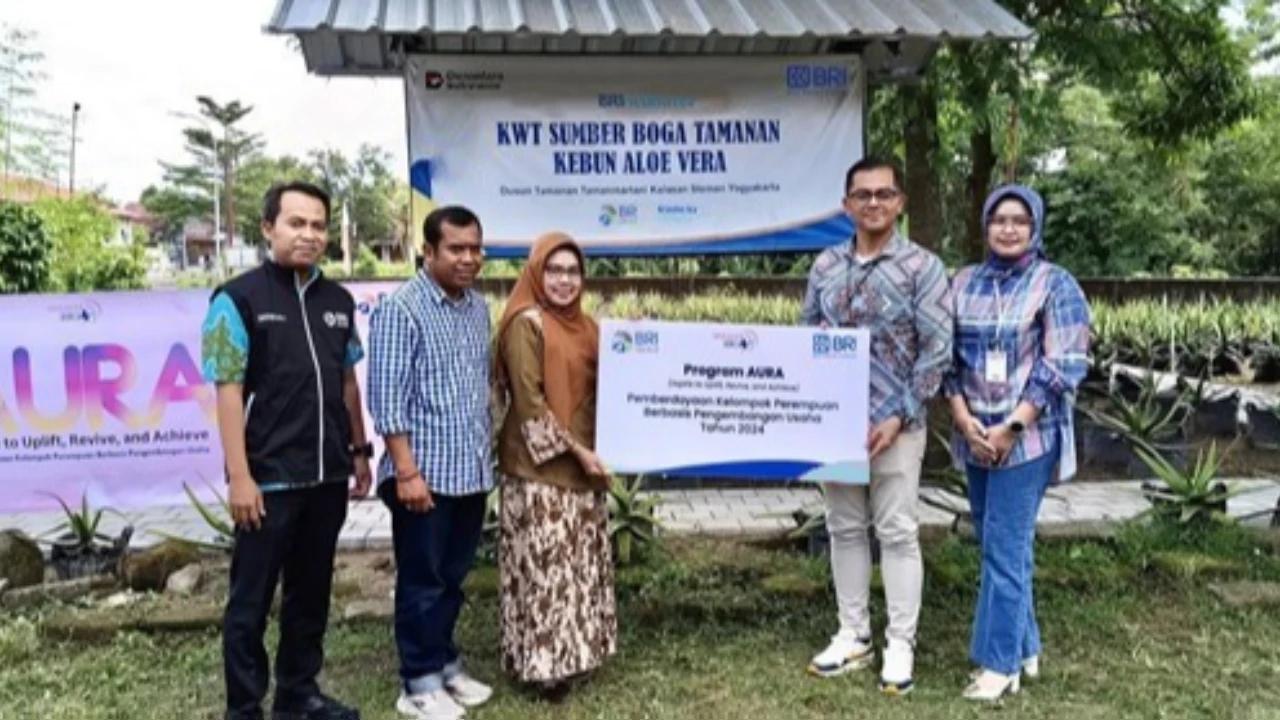 Kisah Perempuan Berdaya Lewat Lidah Buaya, Kelompok Wanita Tani Sumber Boga Tamanan Tumbuh Berkat BRI