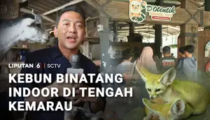 Kebun Binatang Indoor di Tengah Kemarau