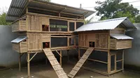 8 Cara Membuat Kandang Ayam agar Tidak Cepat Rusak dan Lapuk, Lengkap dengan Tips Perawatan