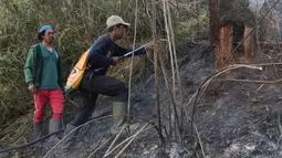 Hutan di Ranu Kembang Terbakar, Jalur Pendakian Gunung Semeru Ditutup Total