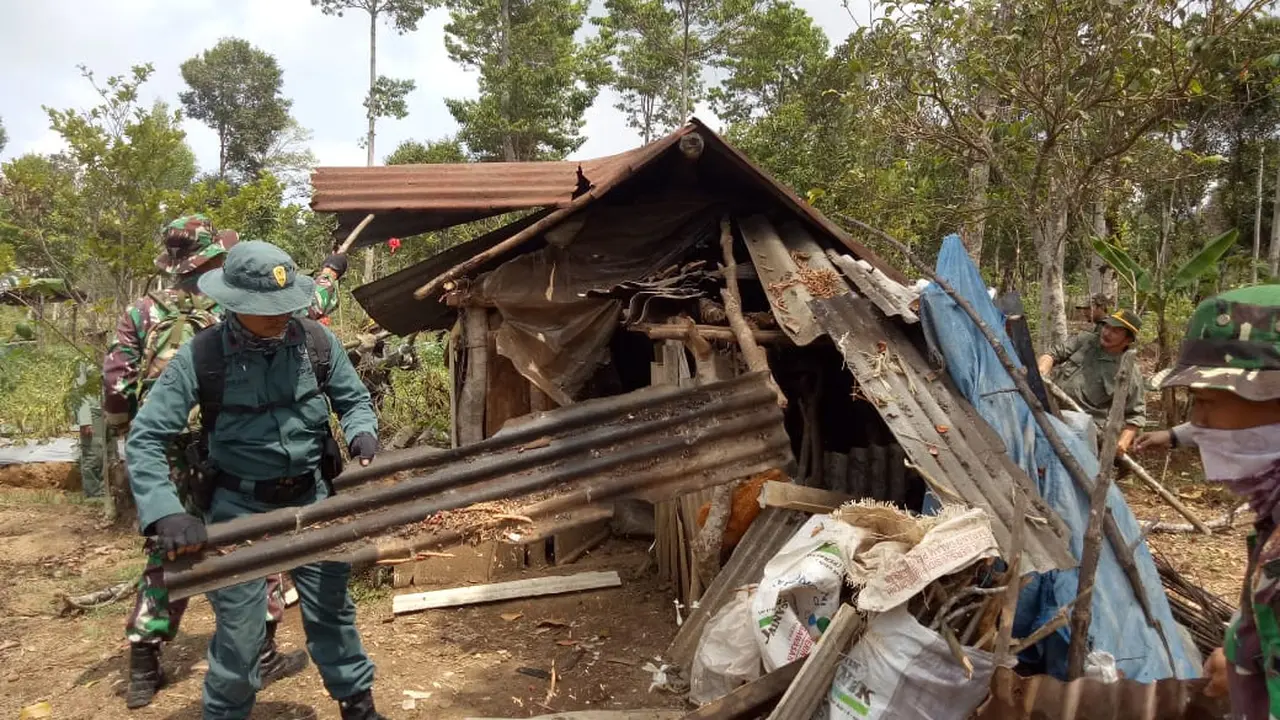 Sejumlah aparat gabungan TNI, Polhut dan lainnya tengah merobohkan bangunan semi permanen dalam operasi simpatik penyelematan lahan cagar alam di kawasan Kamojang, Garut, Jawa Barat