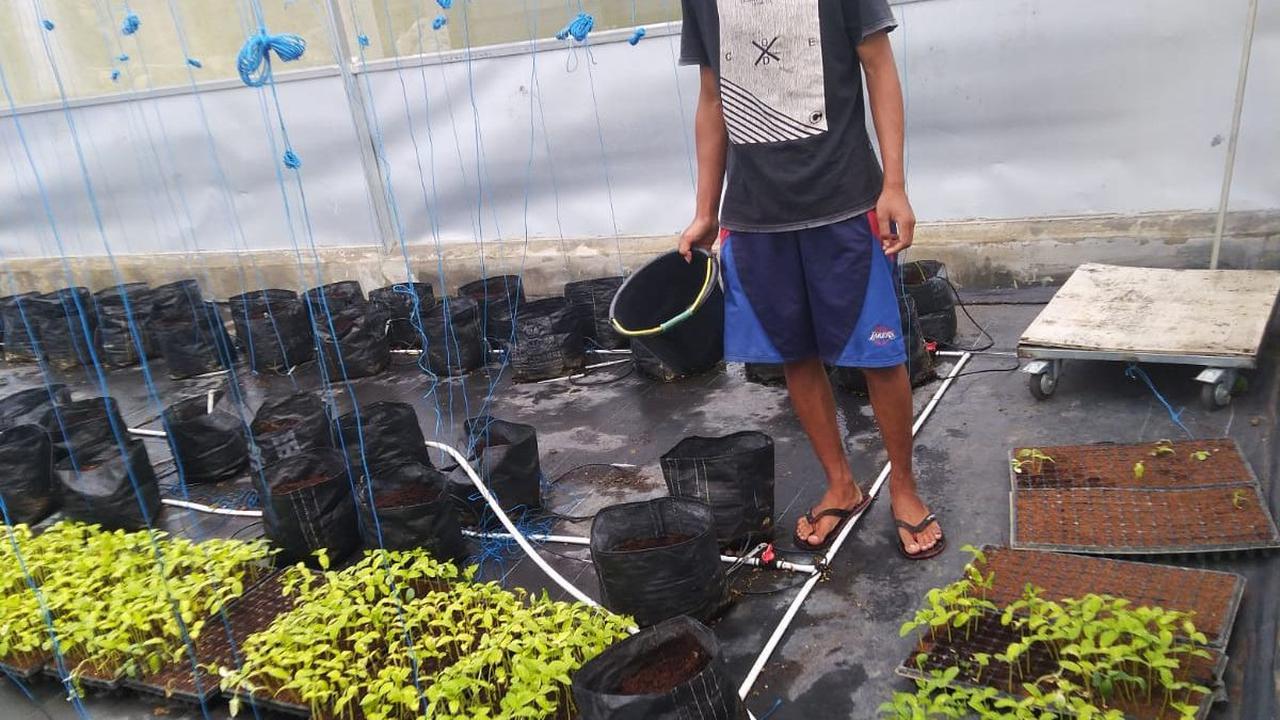 Dok. Istimewa
