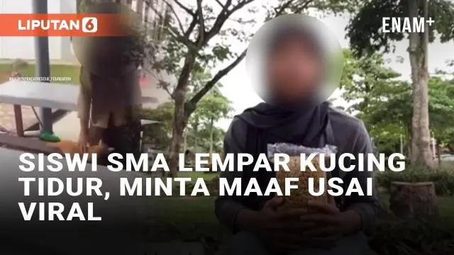VIDEO: Viral Siswi SMA di Balikpapan Lempar Kucing Tidur di Kantin, Minta Maaf Usai Viral