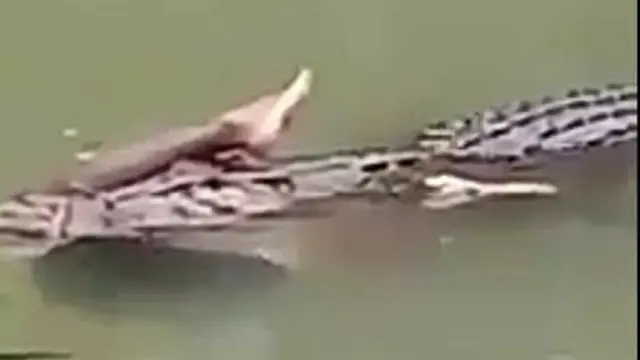 La Ade (30) penambang pasir korban gigitan buaya di Sungai Lasalimu, April 2019.(Liputan6.com/Ahmad Akbar Fua)