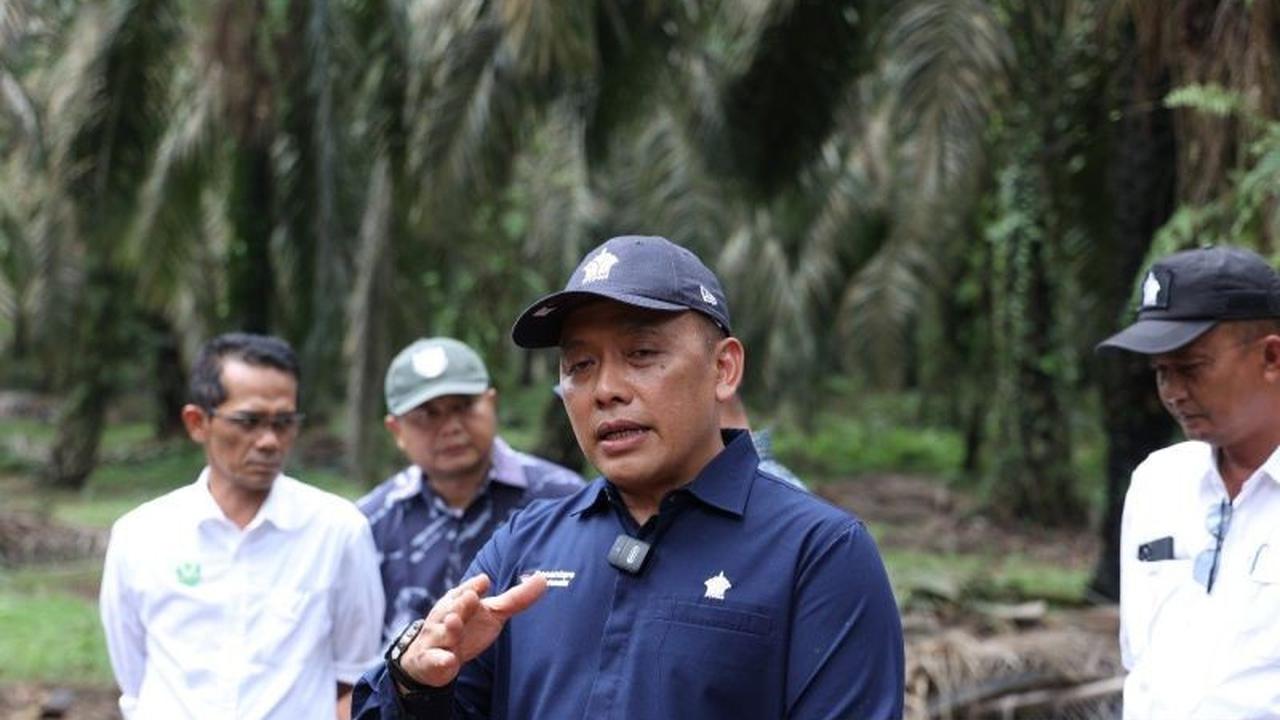 Empat KUD Binaan PTPN IV PalmCo Raih Sertifikasi RSPO Internasional, Perkuat Sawit Berkelanjutan Indonesia