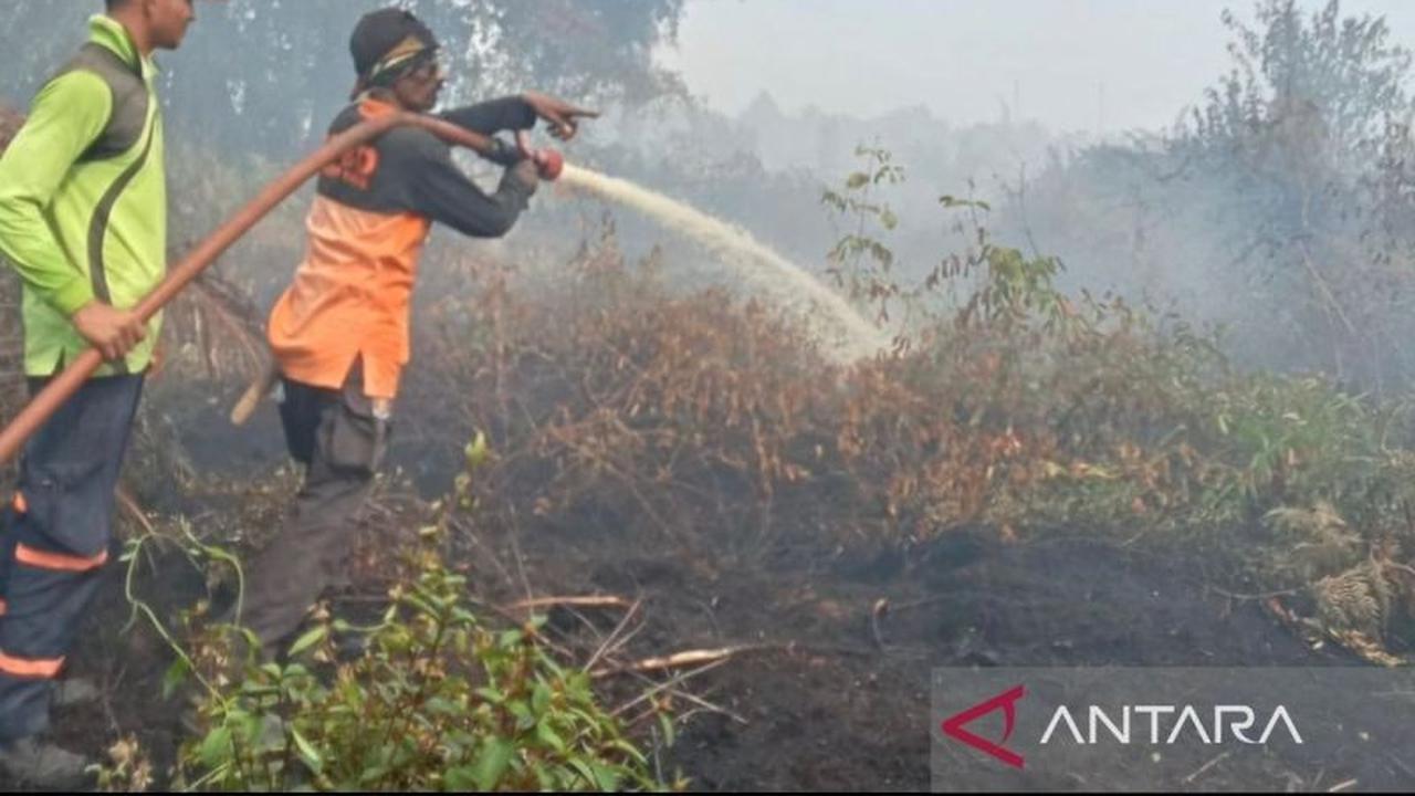 BMKG Wanti-wanti: Asap Karhutla Aceh Selatan Berpotensi Menyebar, Sudah 72 Hektare Lahan Terbakar!