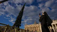 Pohon cemara raksasa ini merupakan sumbangan dari kota Macra di wilayah utara Italia, Piedmont. (AP Photo/Andrew Medichini)