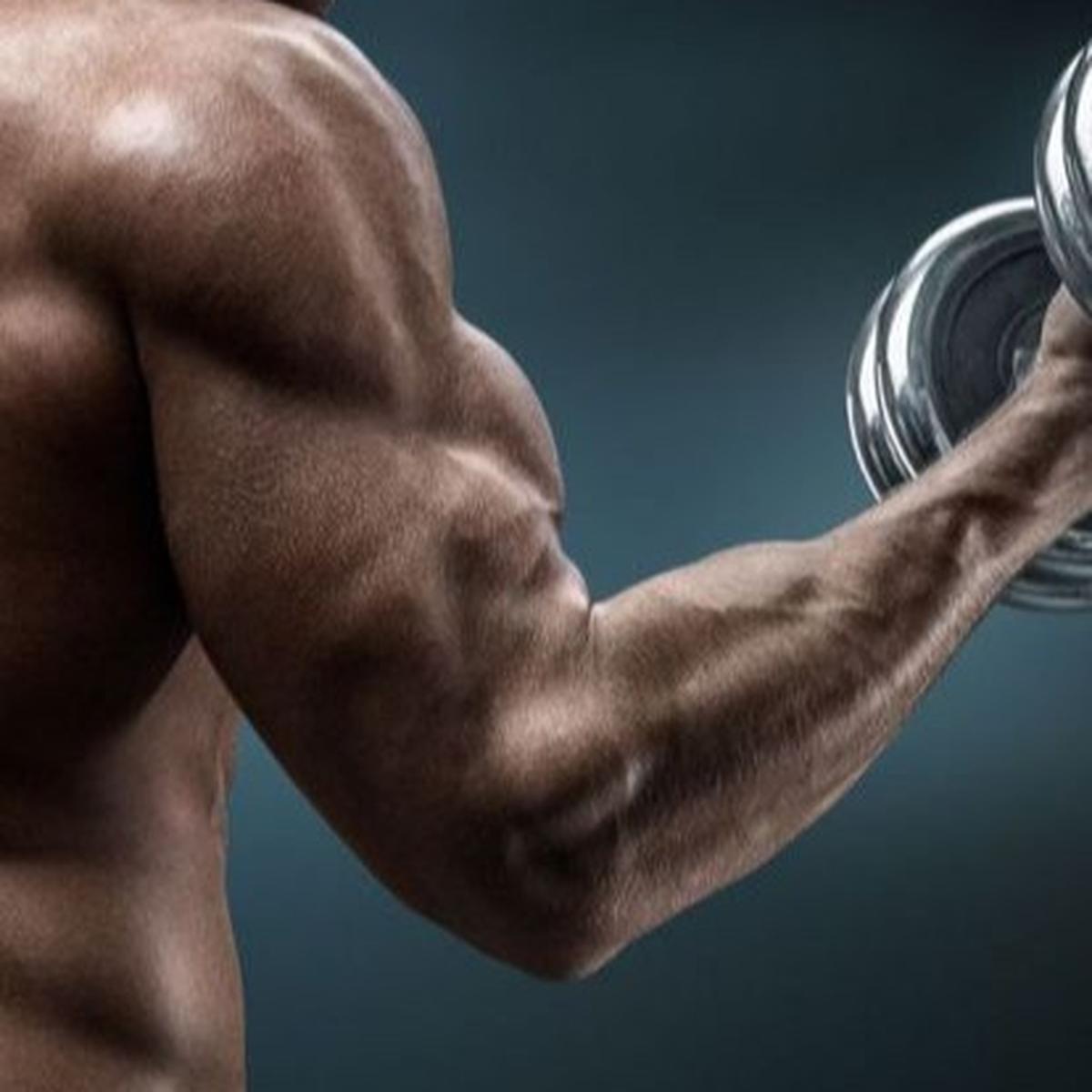 Bagaimana Cara Konsumsi Protein untuk Membangun Massa Otot?