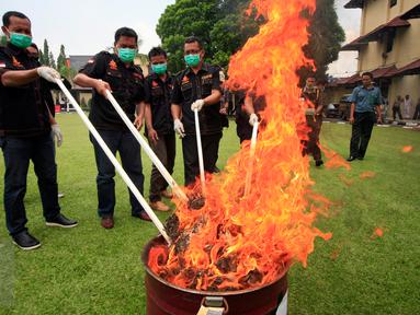 Direktorat Reserse Narkoba Polda DIY membakar barang bukti sitaan berupa 49 kilogram ganja kering di Mapolda DI Yogyakarta, Selasa (8/3). Barang bukti tersebut merupakan hasil operasi Narkoba Progo sepanjang Februari 2016 lalu. (Foto : Boy Harjanto)