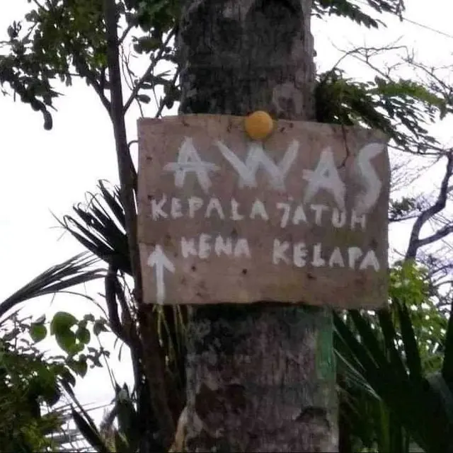 6 Tulisan Nyeleneh di Pohon Ini Tidak Jelas, Bikin yang Baca Jadi Bingung