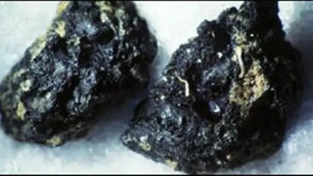 Ini 7 Makanan dan Minuman Tertua dalam Sejarah