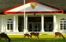 Menyusuri Rumah Kediaman Raffles, Peninggalan Gubernur Terakhir Inggris di Bengkulu