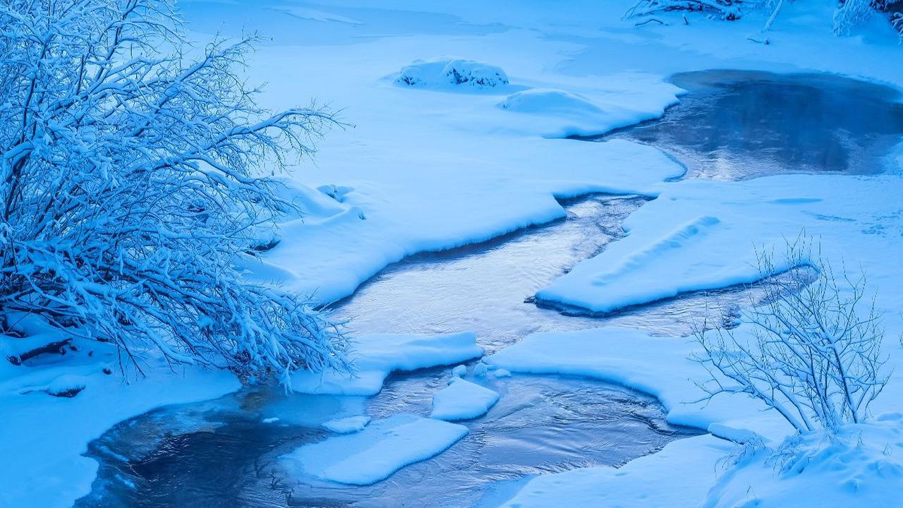 Virus 'Zombie' di Siberia Mencair, Ilmuwan Peringatkan Picu Pandemi Baru