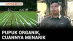 Belajar pertanian di Jepang ternyata membuka jalan kesuksesan bagi Agusti, seorang pria asal Purworejo. Tepat saat kasus Covid-19 merebak, Agusti berinovasi membuat pupuk organik serta media tanam tanpa tanah. Berikut Berani Berubah, Pupuk Organik, C...