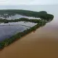 Tanaman mangrove bisa menjadi filter bagi tambak warga di Delta Mahakam.