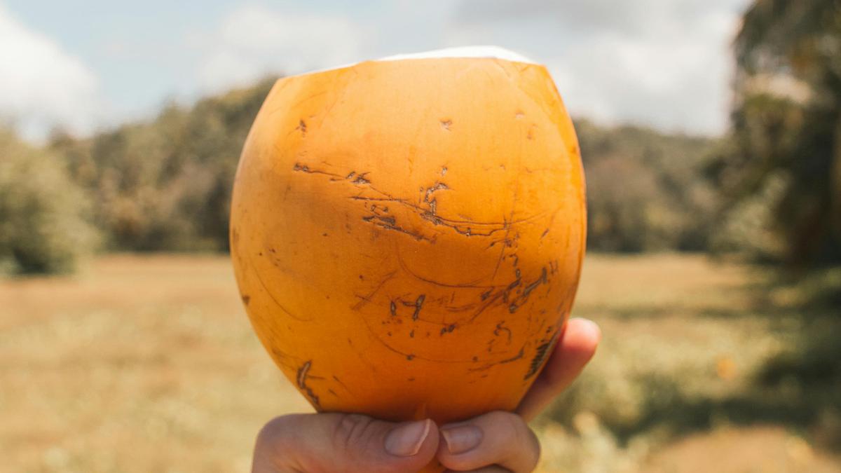 4 Rekomendasi Negara Tropis yang Wajib Dikunjungi saat Musim Panas