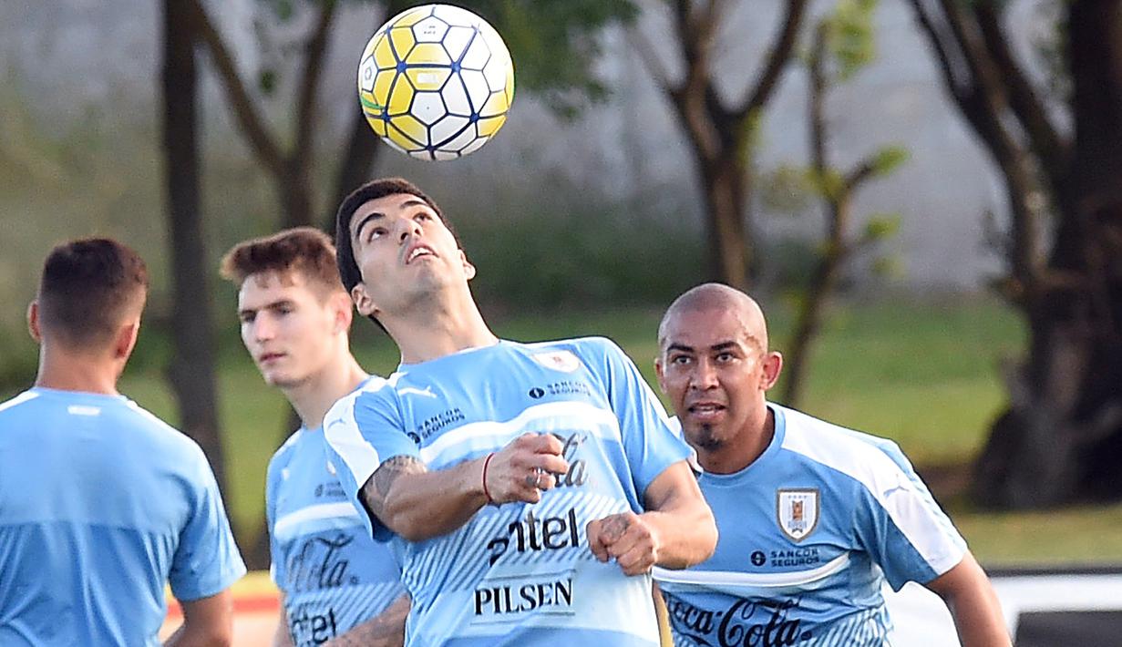 Luis Suarez kembali berlatih bersama tim nasional Uruguay. Hal itu menjadi yang perdana bagi Suarez setelah menjalani sanksi larangan bermain karena mengigit bek Italia, Giorgio Chiellini pada Piala Dunia 2014. (AFP/Miguel Rojo)