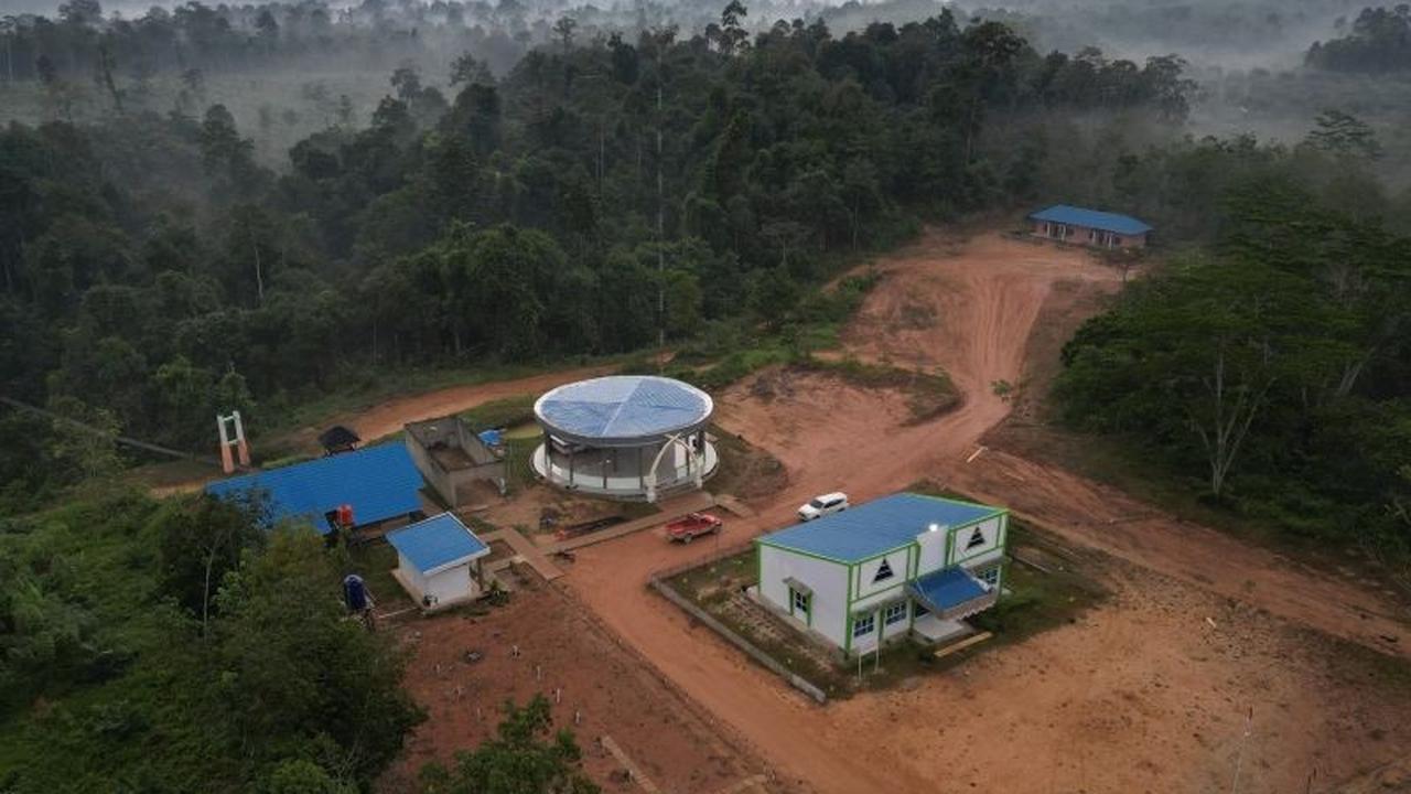 BKSDA Jambi Soroti Penyempitan Ruang Jelajah TNBT, Ancam Kelangsungan Hidup Satwa Kunci