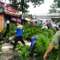 Pohon bertumbangan akibat terjangan puting beliung dan bikin macet lalu lintas kota Purwokerto. (Foto: Liputan6.com/Tagana BMS/Muhamad Ridlo)