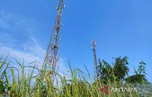 Siap-siap! Lelang Frekuensi 1,4 GHz Dimulai 13 Oktober 2025, Tiga Operator Berebut Jangkauan Internet Lebih Luas