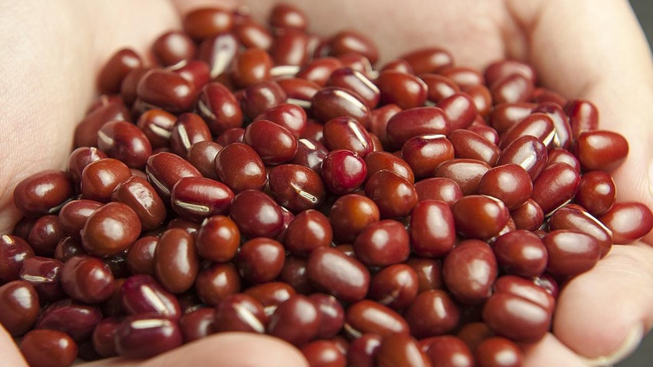 8 Manfaat Kacang Merah untuk Bayi, Menyehatkan Saluran Pencernaan.