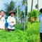 Kembangkan Usaha Pertanian hingga Bisa Kuliahkan Anak Berkat KUR BRI