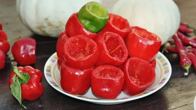 rocoto
