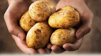 Kentang bisa bantu hilangkan jerawat batu. (Foto: potatoes.com)