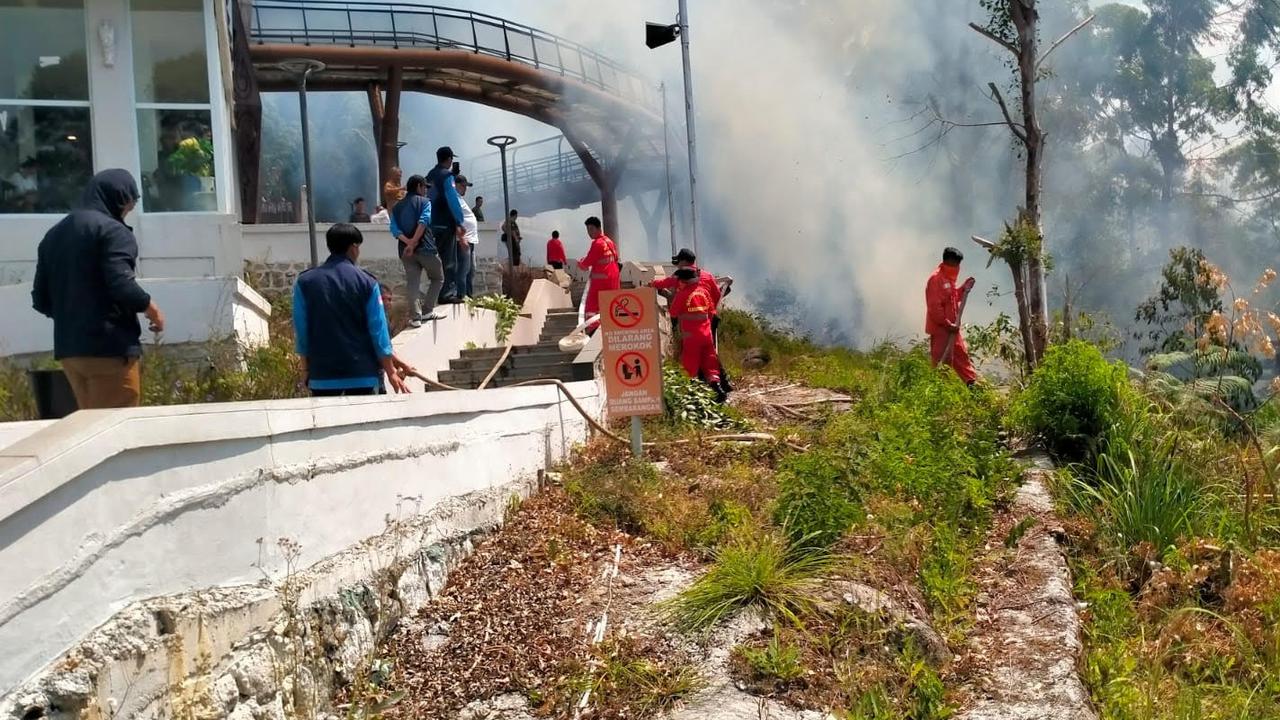 Kebakaran Hutan di Objek Wisata Menara Pandang Samosir, Area Terbakar Capai 50 Hektare