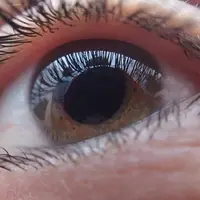 Ilustrasi Mata (Image by Tobias Dahlberg from Pixabay)