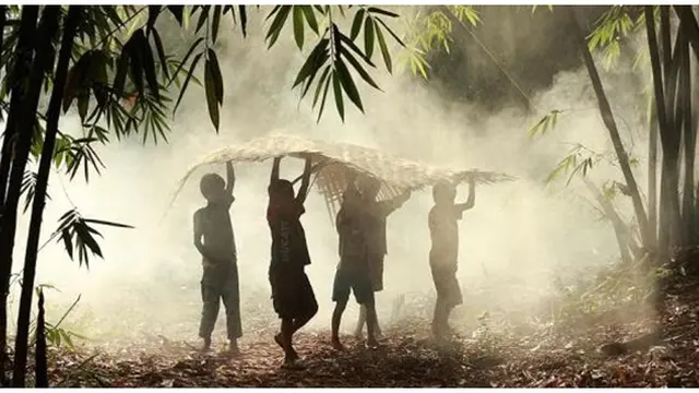 Photo copyright Lifebuzz.com