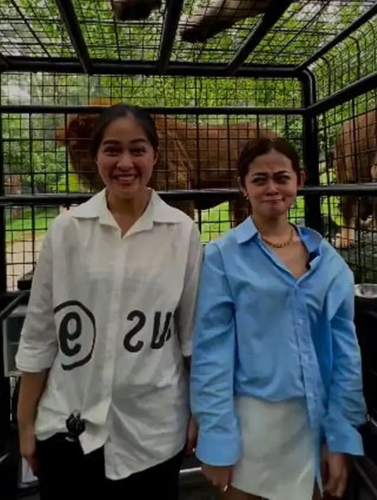 Selama di Taman Safari, Indri dan Gisela juga mengajak Nova untuk mengenal berbagai macam binatang. Gisela sangat menyayangi keponakannya itu. Namun, Nova tak ikut ke mobil safari tempat kawanan singa berada. Indri pun mengajak adiknya membuat video bareng. Lucunya, wajah Gisela tampak begitu tegang. (Liputan6.com/IG/@graciaz14)