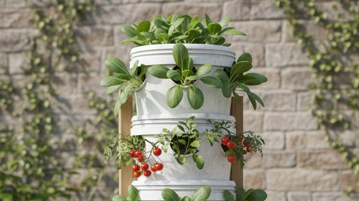 7 Model Kebun Mini Pakai Ember Lengkap Perkiraan Biaya Awalnya