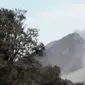 Tim SAR kembali mencari korban akibat erupsi Gunung Sinabung. Sementara itu, polisi Jambi amankan puluhan gas elpiji oplosan.