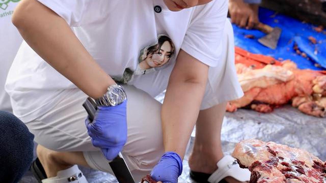 6 Potret Inul Daratista Sembelih Hewan Kurban Idul Adha, Insyaallah Tahun Depan Banyak Rezeki