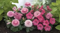 12 Bunga Warna Pink Kecil yang Cantik dan Mudah Dirawat untuk Taman Rumah