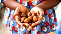 wanita asal Ghana penghasil krim pelembab dari shea butter (sumber: bellanaija.com)