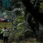 Petugas pertamanan DKI Jakarta membersihkan pohon usai dipangkas di Jalan Sutan Syahrir, Jakarta, Kamis (15/8/2019). Pemangkasan pohon tersebut dilakukan untuk menghidari pohon tumbang yang diakibatkan oleh angin dan hujan lebat saat musim penghujan tiba. (Liputan6.com/Faizal Fanani)