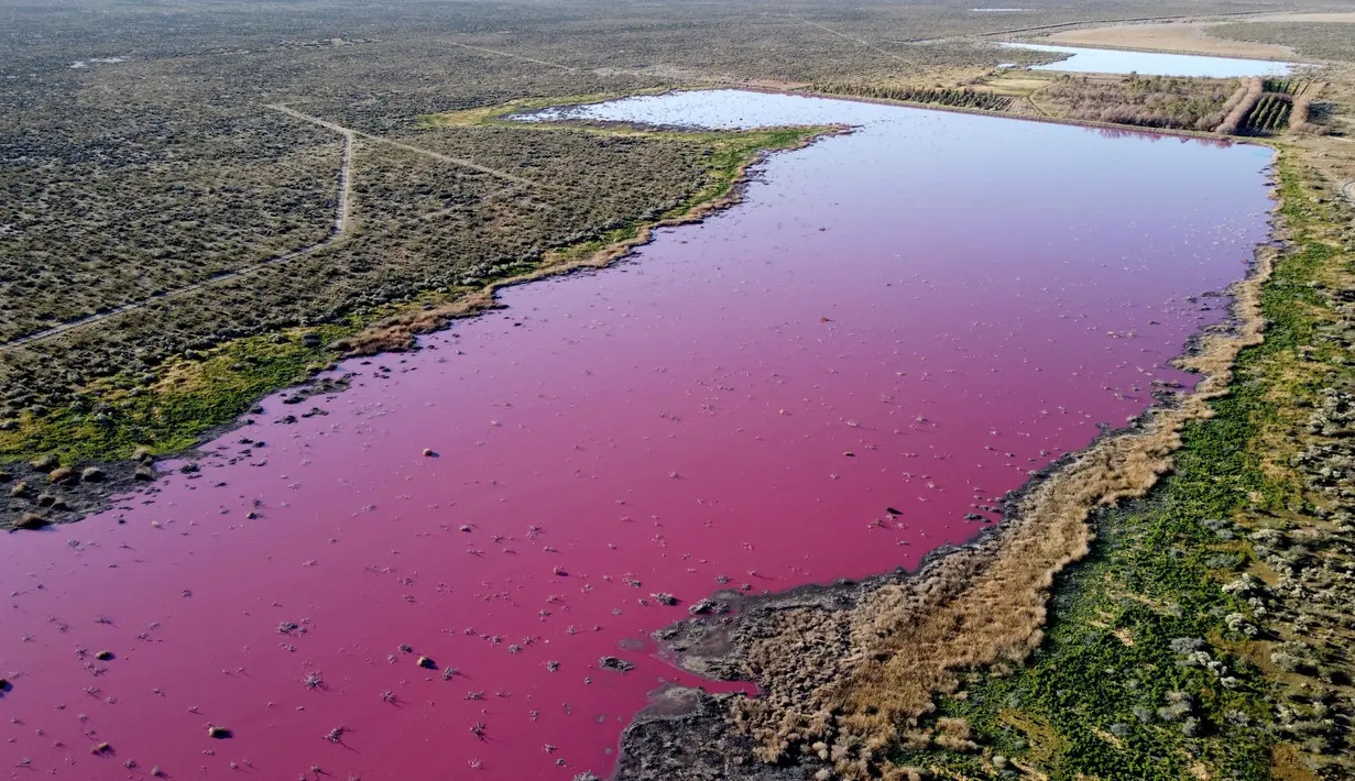 Pemandangan udara dari laguna yang berubah menjadi merah muda karena limbah industri perikanan, di provinsi Patagonian, Chubut, Argentina, pada 23 Juli 2021. Fenomena itu lantas membuka kontroversi pemerian izin perusahaan di Argentina. (DANIEL FELDMAN / AFP)