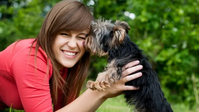 Foto: copyright ThinkStockPhotos.com