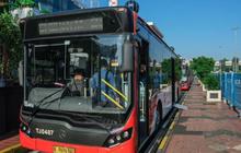 Transjakarta Minta Maaf, Sistem Booking Royaltrans Dikeluhkan di Hari Pertama
