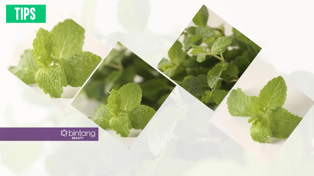 Tips: Andalkan Daun Mint untuk Perawatan Wajah yang Praktis