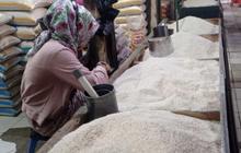 Beras Medium Aman dan Surplus, Impor Hanya untuk Kebutuhan Khusus dan Industri