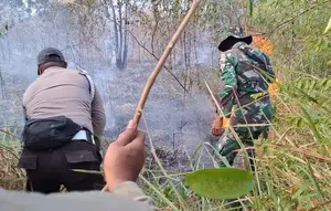 Belum Padam, Kebakaran di Taman Nasional Way Kambas Capai 673,4 Hektare