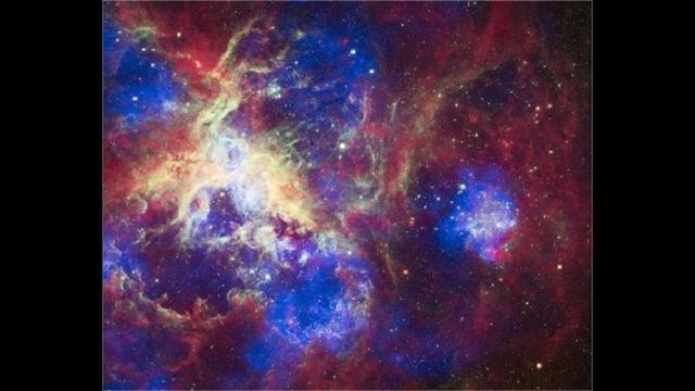 Nebula Tarantula