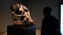 Seorang pria melihat patung yang berjudul "Skull of a Cyclops" karya seniman Inggris, Damien Hirst saat pameran di Venice, Italia (6/4). Karya patung tersebut terbuat dari logam yang dibalut dengan terumbu karang. (AFP Photo/Miguel Medina)