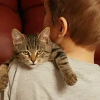 Lagi-lagi cowok yang satu ini bikin ulah lewat video bersama kucingnya.