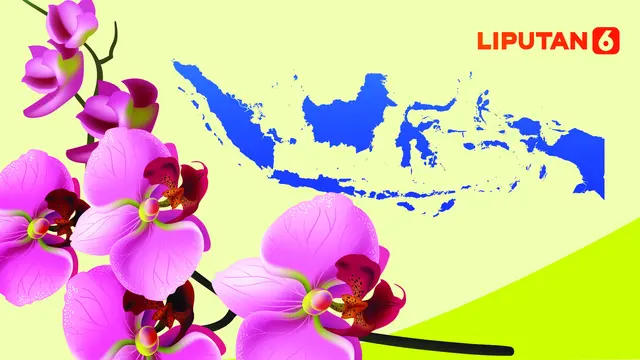 Bunga Anggrek, mudah ditemui di Indonesia.