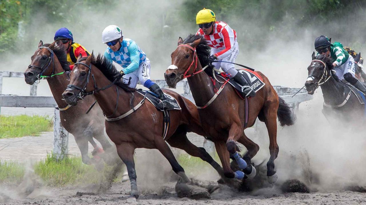 FOTO: Gagahnya Derap Kuda di Bantul,  Piala Raja Hamengku Buwono X 2025 Hidupkan Tradisi dan Sport Tourism